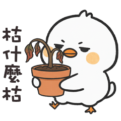 (°<> °) 肥肥小雞枯什麼枯