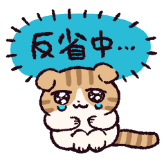 スコティッシュフォールドです 2