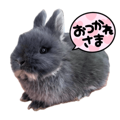 rennyan_20251023211701