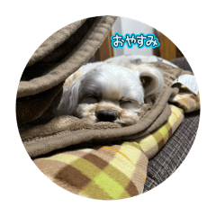 mayuchan_20251023223910