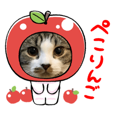 kazue_20251024104150