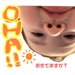 omomo_20251024102729