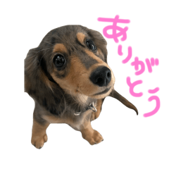 kanatim_20251024123444