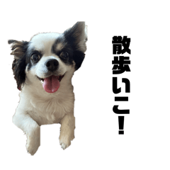 Rinka_20251024123310