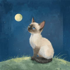 Tsukiyo no Chalo: Words Beneath Stars