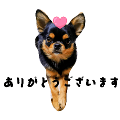 amber_20251024144043