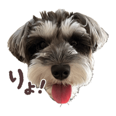 yurina_20251024144015