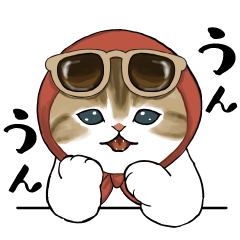 おめかしにゃん