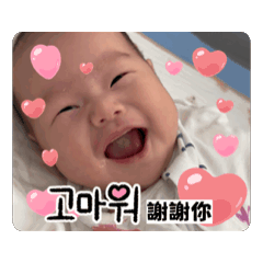 DanDan and Little Rice Ball