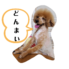 りぁん③ - LINE スタンプ | LINE STORE