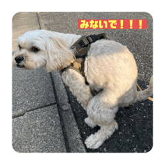 mayuchan_20251024130045