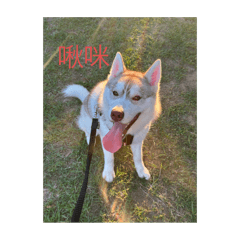 Hachiiiiiii