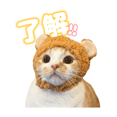 yurika_20251024170848