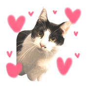 I love Uppy2