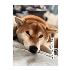 Sinderera_20251024173630