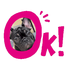 muumoo_20251024204634