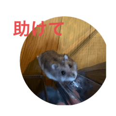 yyyyyy_2025102420172305