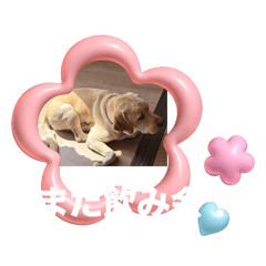 karin_20251024190917