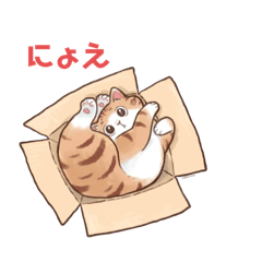 Yuchi_20251024213217