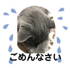 imunamu_20251024214936