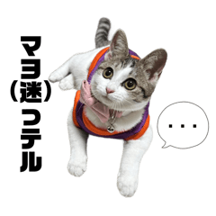 Haruka_20251025025320