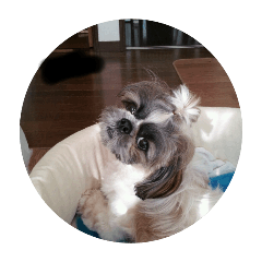 COCOA_20251024205225