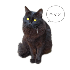 Bossneko_nyanchan