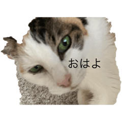 M_20251024222834