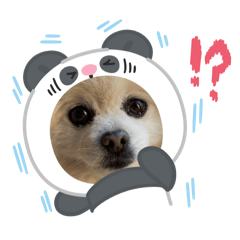 perorincho_20251024211829