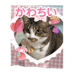 TOMOMI_20251024231110