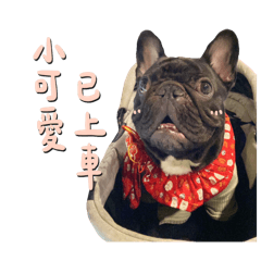 楊奧利 part 2