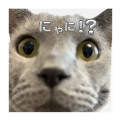 Suzu_20251024224937