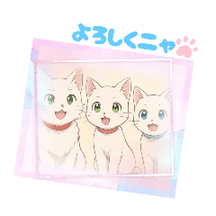 hana_20251025104013