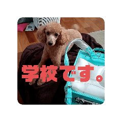 Haruka_20251025121239