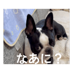 SOEDA_20251025124427