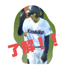 Pochi_20251024232315