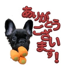 noariko_20251025135003