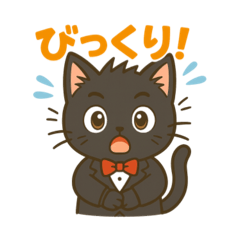 适合日常使用的可爱燕尾服黑猫邮票