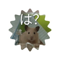 Hamuhamu_20251025125805