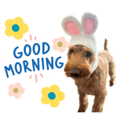 sachi_20251025132101