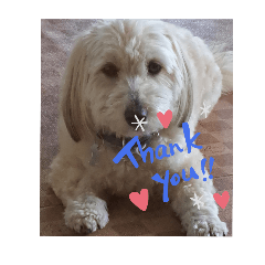 tamin_20251025095251