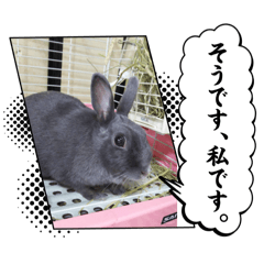 mizuki_20251025141501