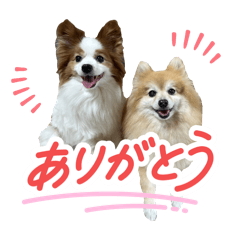 radio_20251025150023