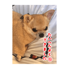 rinko_20251025155950