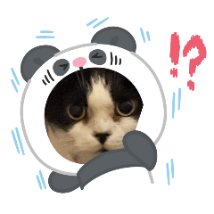 riara_20251025162538