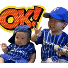 ojsn_k_20251025215234