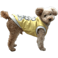 HAPPY_20251025173403