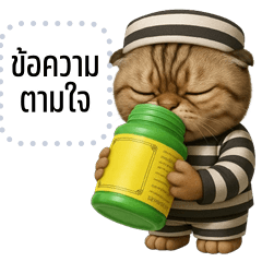Message Stickers: Naughty Cat