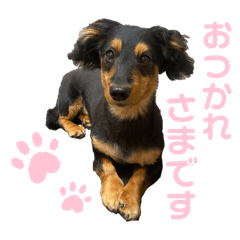 しょこらくんすたんぷ