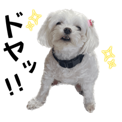 Yukari_20251025214050